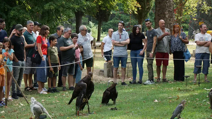 La Mostra ornitologica (Foto Marega)