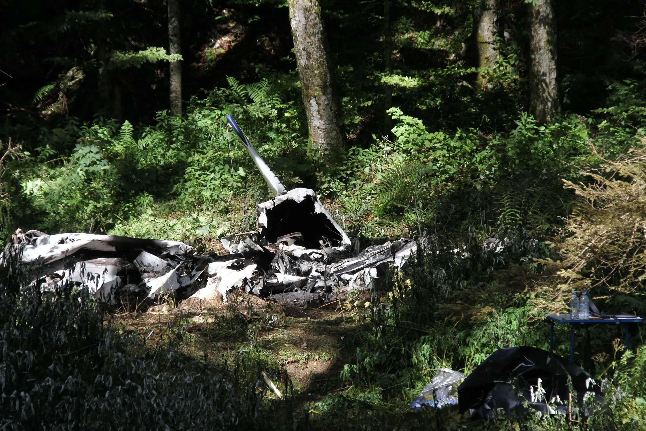 I rottami del Piper in un bosco vicino ad Aidussina (foto Bumbaca)