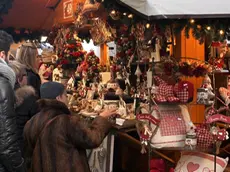 Lasorte Trieste 11/12/14 - Piazza S.Antonio, Ponchielli, Torri, Mercatino di Natale