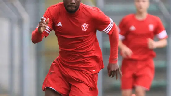 Lasorte Trieste 09/11/14 - Calcio, Serie D, Triestina - Montebelluna