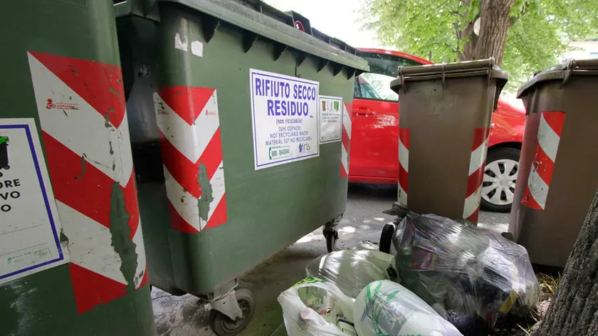 Bonaventura Monfalcone-24.06.2015 Rifiuti abbandonati-Lungo Viale San Marco-Monfalcone-foto di Katia Bonaventura