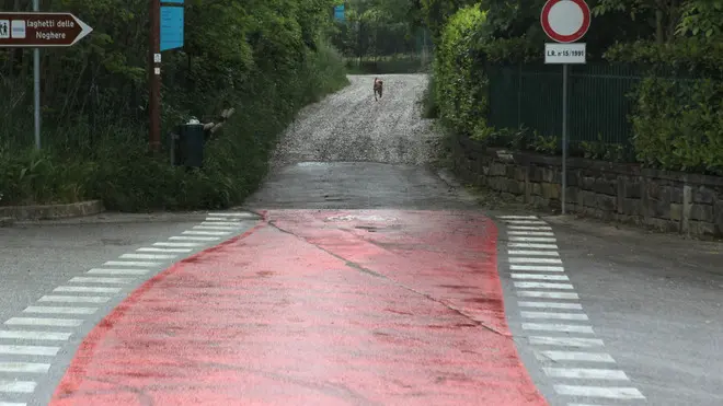 Lasorte Trieste 10/05/13 - Muggia, Pista Ciclabile direzione Laghetti Noghere