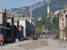 I lavori in corso sul viale monumentale (foto Massimo Silvano)