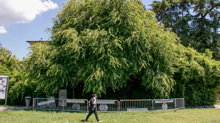 Bonaventura Monfalcone-23.07.2020 Transenne-Villa San Carlo-Ronchi dei Legionari-foto di Katia Bonaventura