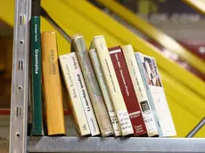 Libri in una foto di archivio