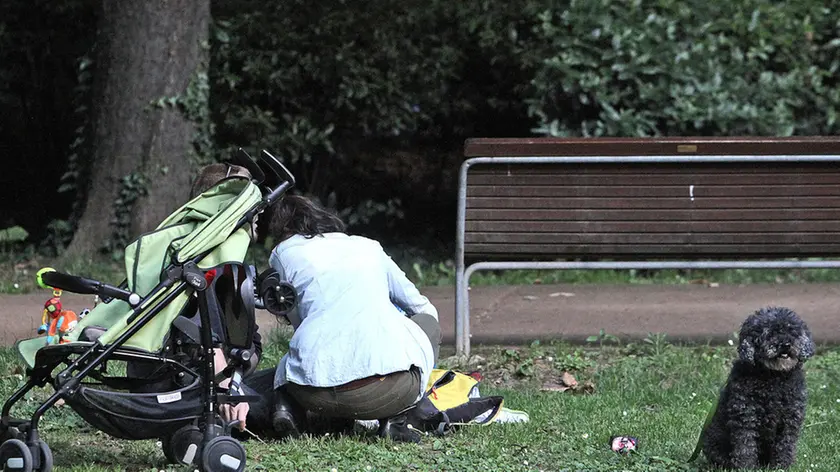 Una mamma con bimbo e cane al seguito nel Giardino Pubblico di via Giulia