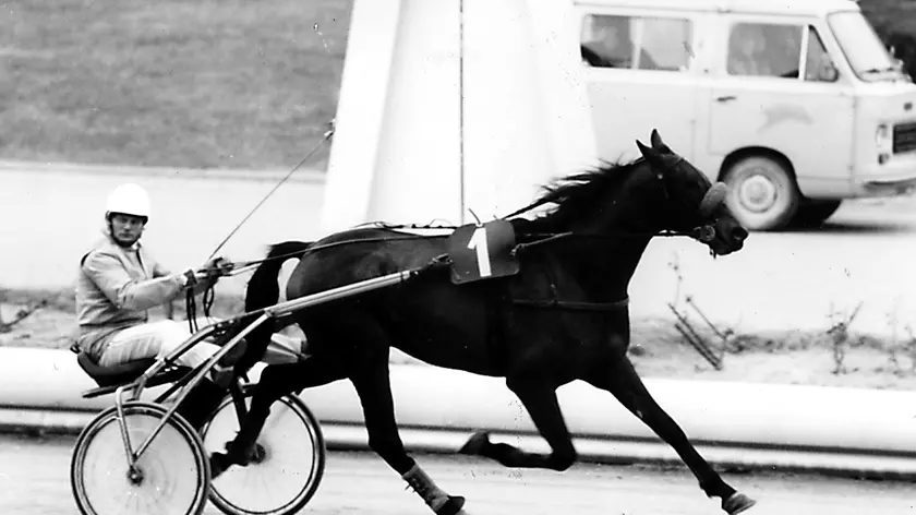 Un ritratto di Nicola Esposito nel pieno della professione