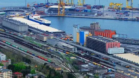 sterle trieste porto nuovo