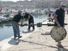 Lasorte Trieste 08/6/13 - Sacchetta, Pulizia Fondali