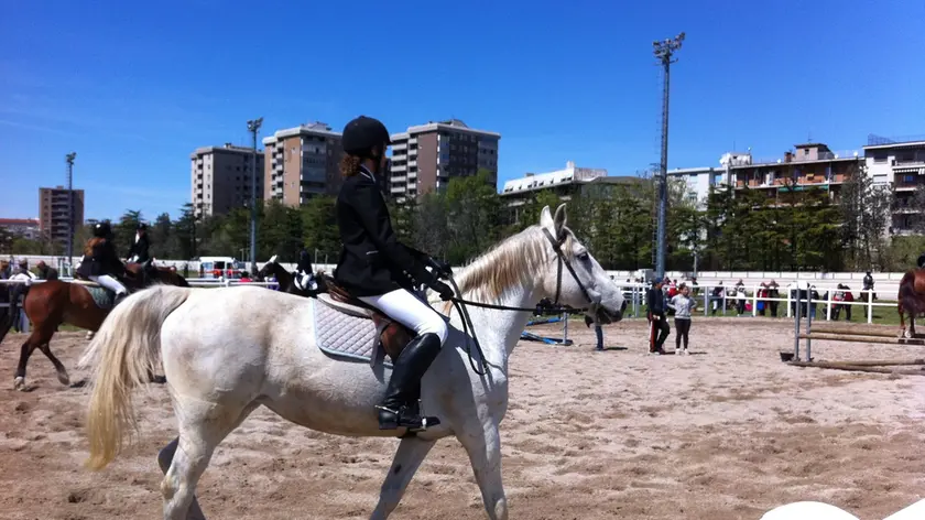 Tutti sul pony sabato e domenica per la prima edizione di Ippodroland