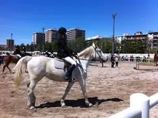 Tutti sul pony sabato e domenica per la prima edizione di Ippodroland