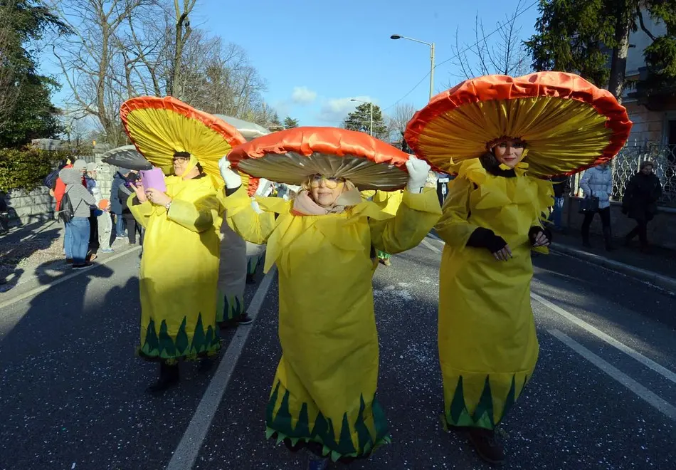 Foto BRUNI 10.02.2018 Carnevale di Opicina