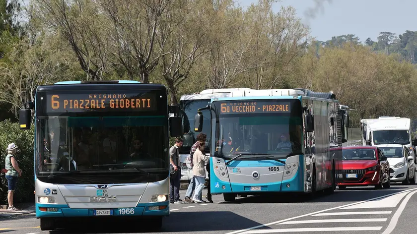 Una domenica di qualche tempo fa al bivio di Miramare: pullman sulle fermate, bus che fanno salire gli utenti in mezzo alla strada e auto in coda Foto Andrea Lasorte