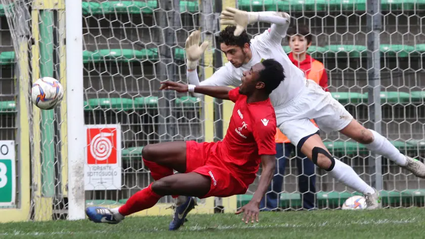 Lasorte Trieste 28/02/16 - Serie D, Triestina - Belluno