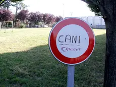 Lo spazio riservato al gioco del cricket in via Portosega vicino al giardino per i cani (Bonaventura)