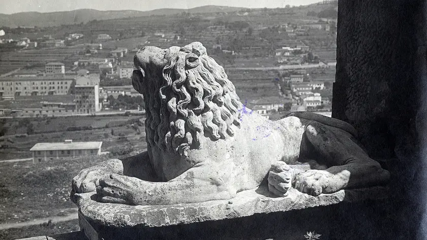 Un leone in pietra a villa Bottacin, a Guardiella, fatta costruire dal facoltoso commerciante veneto Nicola Bottacin.