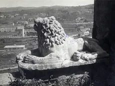 Un leone in pietra a villa Bottacin, a Guardiella, fatta costruire dal facoltoso commerciante veneto Nicola Bottacin.