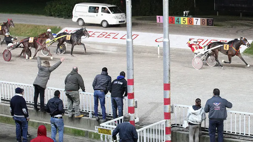 Lasorte Trieste 30/11/14 - Ippodromo di Montebello, Gran Premio Regione FVG