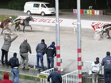 Lasorte Trieste 30/11/14 - Ippodromo di Montebello, Gran Premio Regione FVG