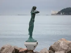 La Mula de Trieste, guarita, è tornata ad ammirare il lungomare di Barcola. Foto Lasorte