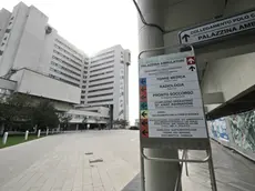 L'ospedale di Cattinara