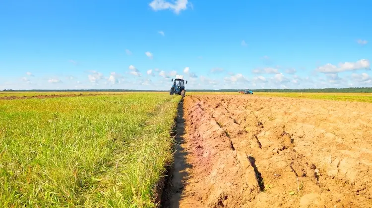 Un terreno agricolo