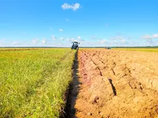 Un terreno agricolo