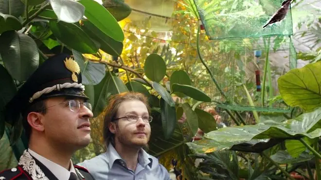 sterle trieste un esemplare di colibrì arrivati al parco tropicale di miramare scortati dai carabinieri nella foto a sx il ivano fraticelli a dx stefano rimoli responsabile della serra tropicale