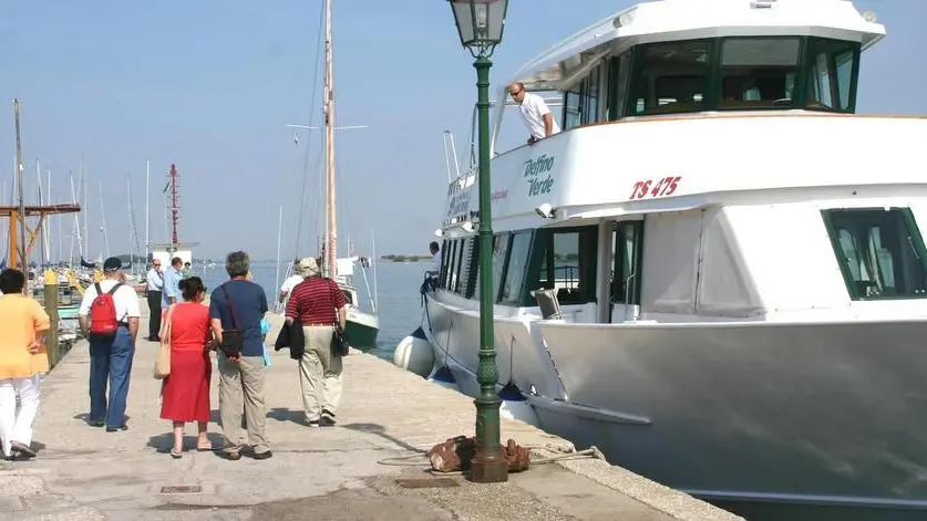 Altran Grado-Delfino Verde