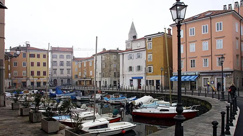 sterle trieste muggia mandracchio