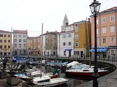 sterle trieste muggia mandracchio