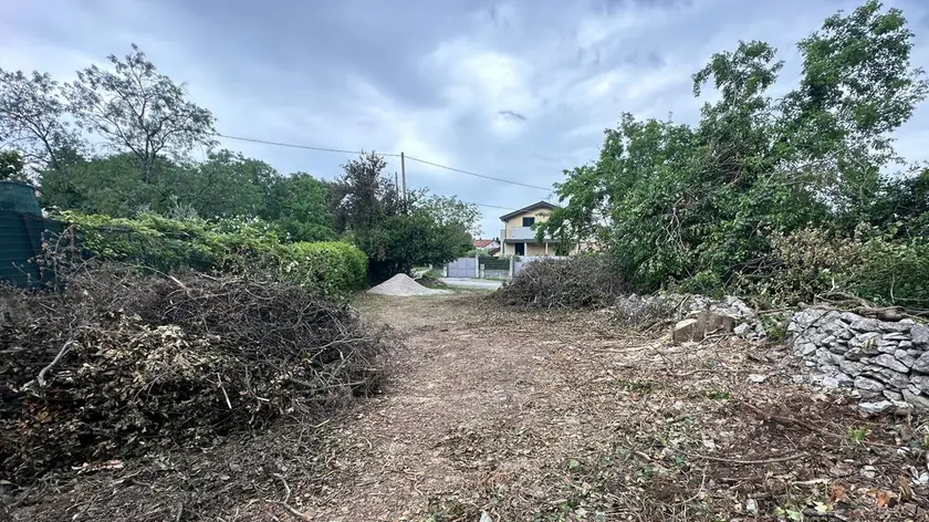 Una parte delle terreno disboscato finito al centro della querelle a Duino
