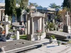 Il cimitero di Trieste