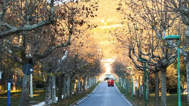 Lasorte Trieste 12/12/18 - Parco di S.Giovanni, Ex OPP, Alberi