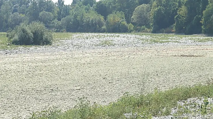 Isonzo in secca a Gradisca