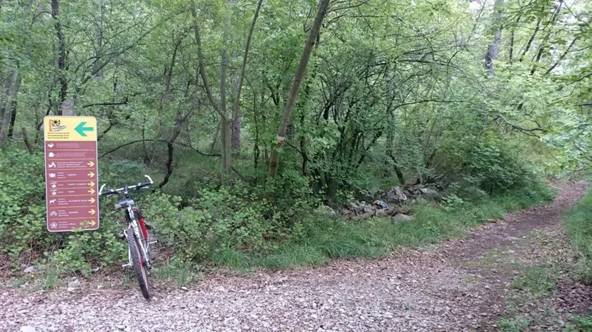 Lungo i sentieri del Carso