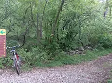 Lungo i sentieri del Carso