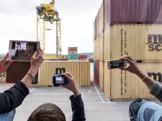 Alcuni container stoccati in una banchina del Porto di Trieste Foto Autorità portuale