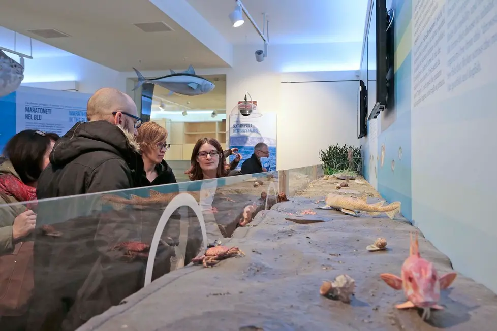 Silvano Trieste 2018-03-10 Apertura al pubblico BioMa