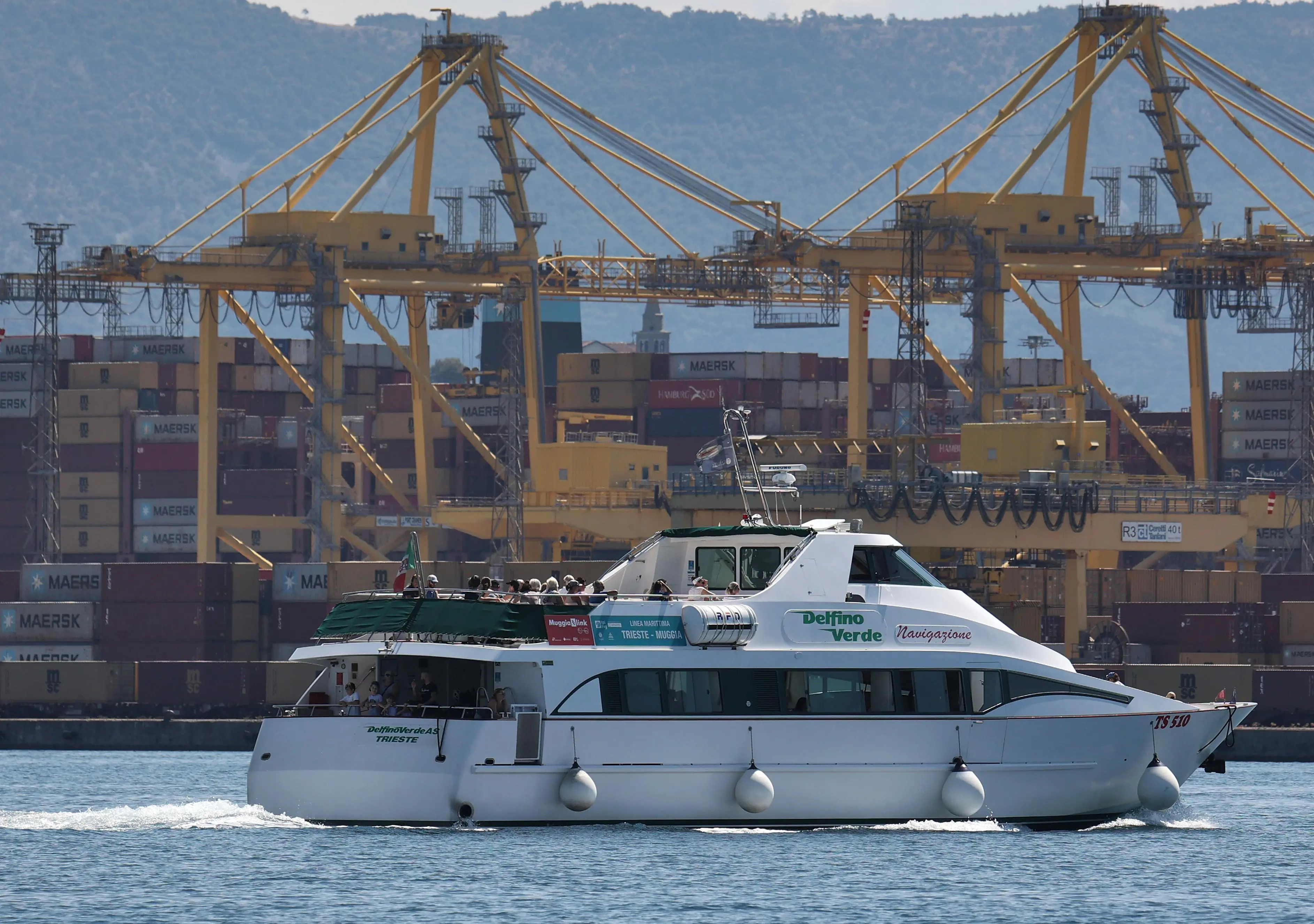 Il Delfino Verde naviga davanti ai container