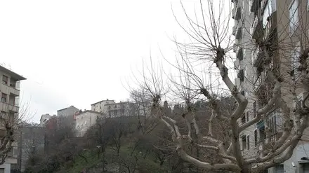 sterle trieste largo mioni