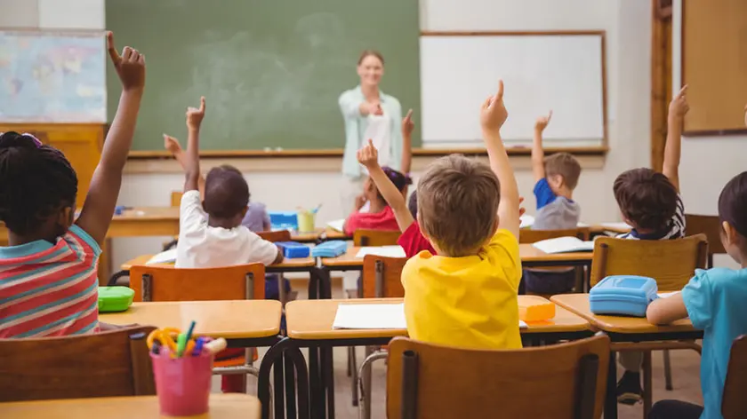 36391165 - pupils raising their hands during class at the elementary school