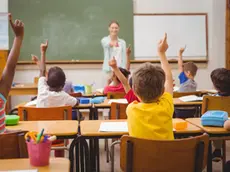 36391165 - pupils raising their hands during class at the elementary school