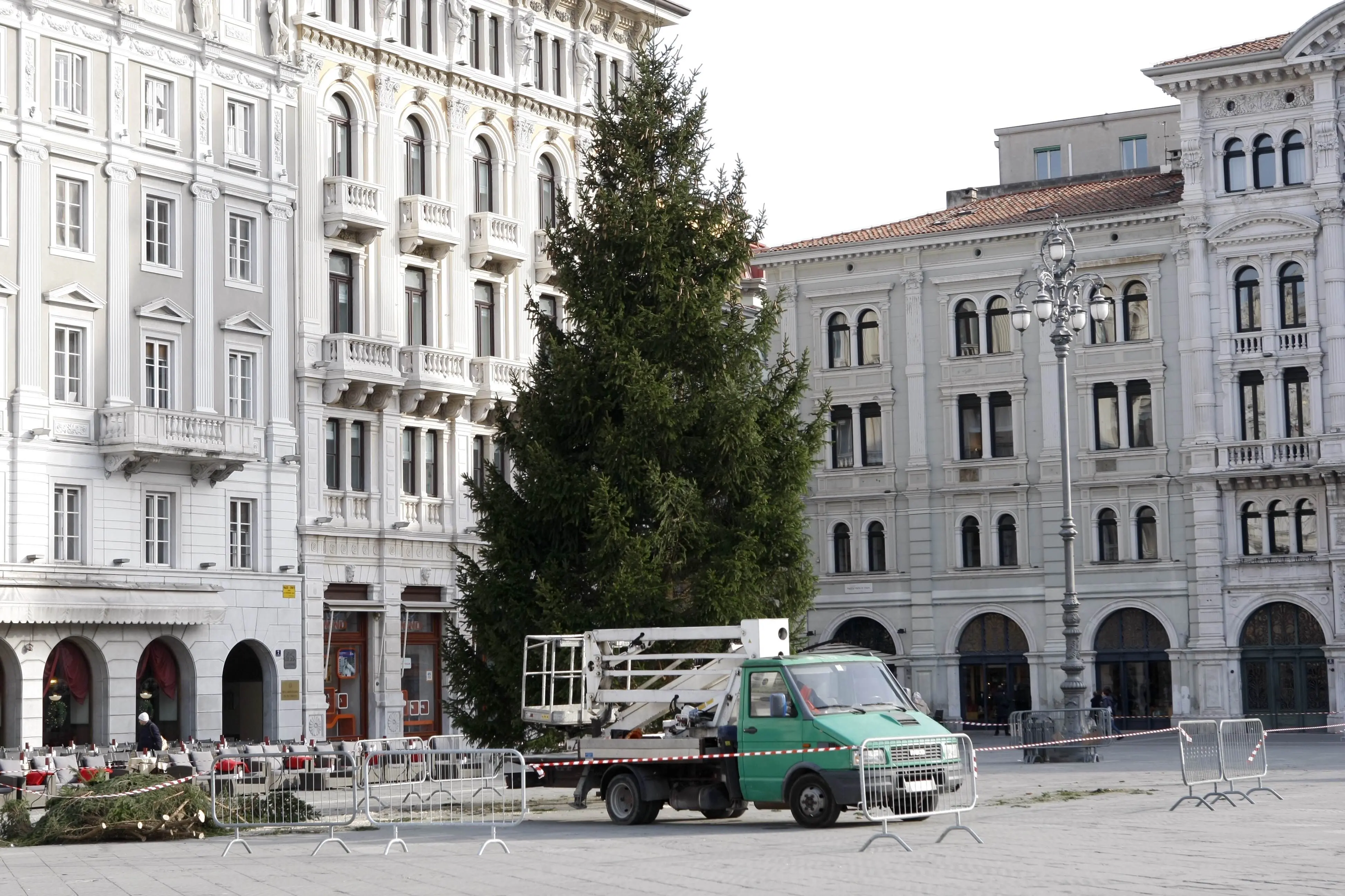 L'arrivo dell'albero in piazza Unità (Foto di Massimo Silvano)