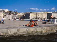 sterle trieste fiera san nicolò piazza s antonio