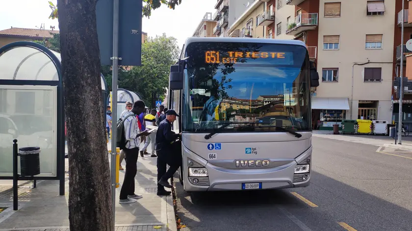 Una fermata della linea 51 da Trieste Foto Katia Bonaventura