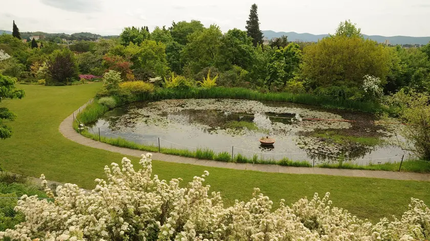 Il giardino Viatori