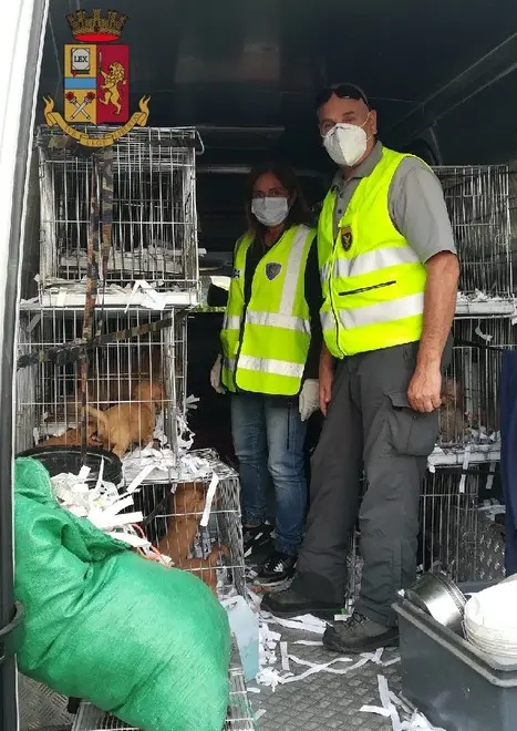 Le gabbie in cui erano sistemati cani e criceti all’interno dei furgone