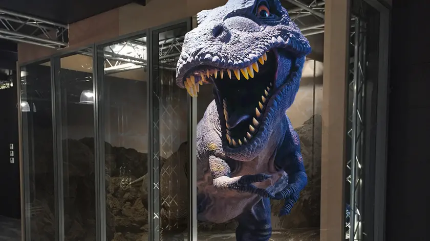 Il T-Rex è una delle “attrazioni” della 3D World Arena, il nuovo parco tematico della realtà virtuale di Feletto