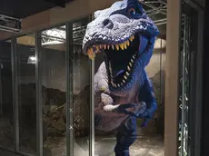 Il T-Rex è una delle “attrazioni” della 3D World Arena, il nuovo parco tematico della realtà virtuale di Feletto